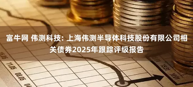 富牛网 伟测科技: 上海伟测半导体科技股份有限公司相关债券2025年跟踪评级报告