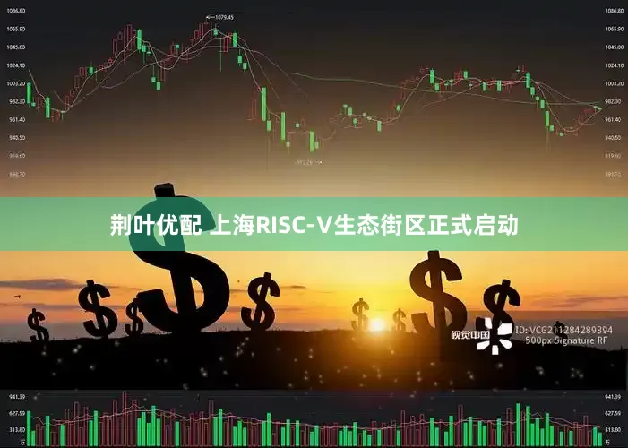荆叶优配 上海RISC-V生态街区正式启动