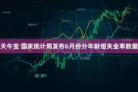 天牛宝 国家统计局发布6月份分年龄组失业率数据