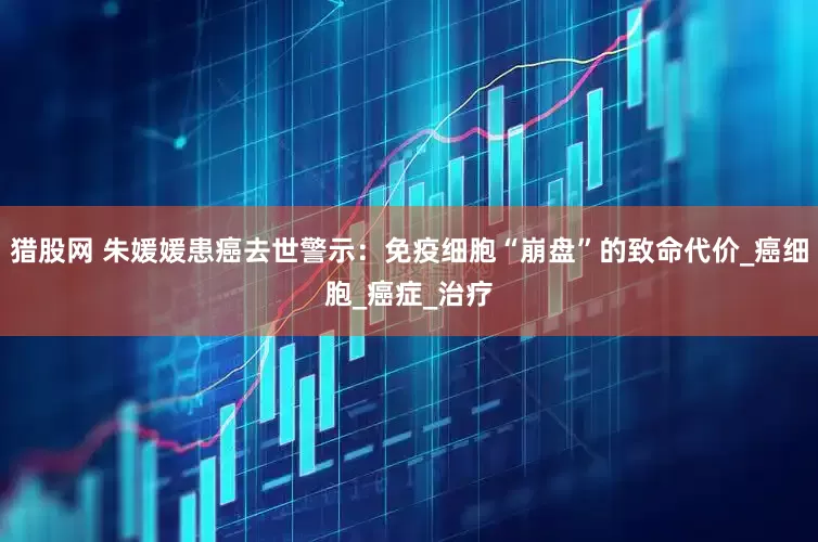 猎股网 朱媛媛患癌去世警示：免疫细胞“崩盘”的致命代价_癌细胞_癌症_治疗