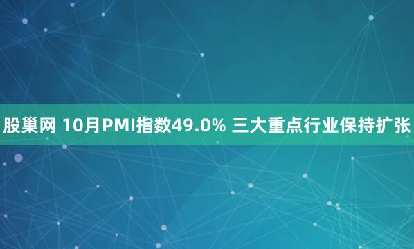 股巢网 10月PMI指数49.0% 三大重点行业保持扩张