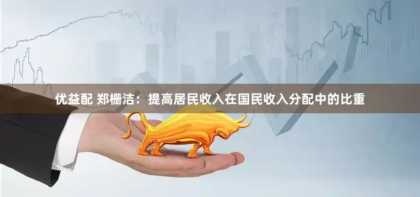优益配 郑栅洁：提高居民收入在国民收入分配中的比重
