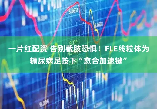一片红配资 告别截肢恐惧！FLE线粒体为糖尿病足按下“愈合加速键”