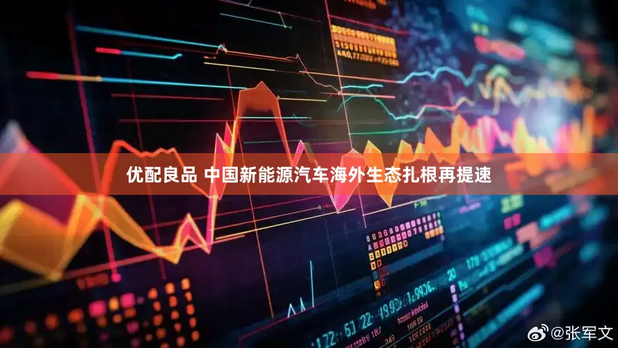 优配良品 中国新能源汽车海外生态扎根再提速